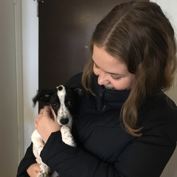 Meet your Posher, Maeve - Picture 1 of 1